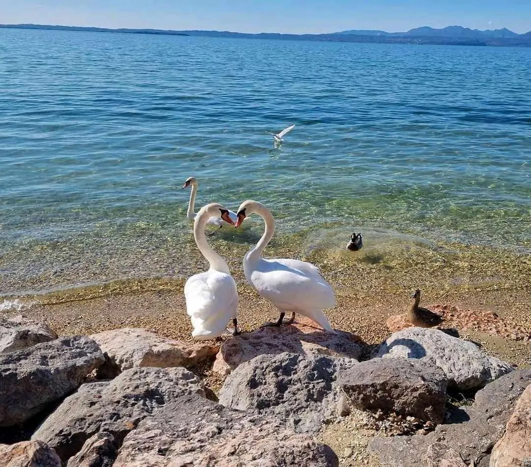 Apartament Residence Florida B03 A 200M Dal Lungolago Lazise